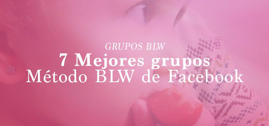 Grupos método BLW Facebook