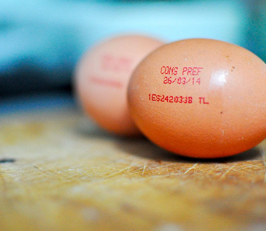 ¿Qué sabemos del huevo?